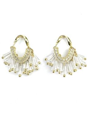 New! Crystal Fringe Hoop Earrings